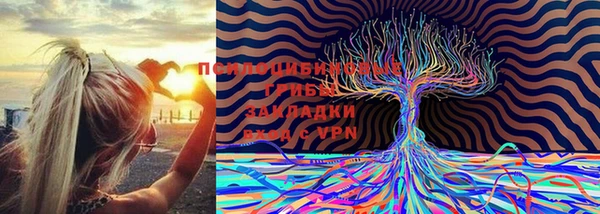 кокаин премиум Приозерск