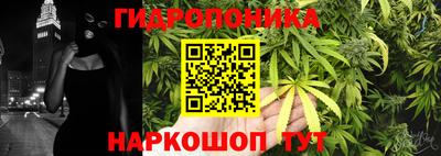 эйфоретик Владивосток