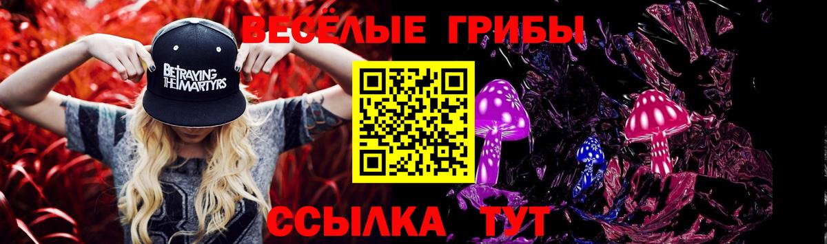 купить наркотик  Галлюциногенные грибы мухоморы  Вход с VPN  Старая Русса 