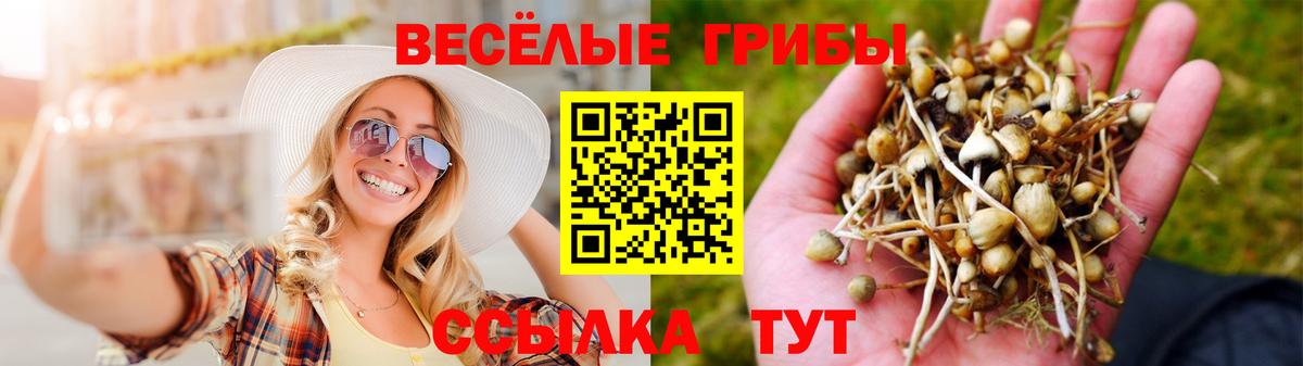 Галлюциногенные грибы мухоморы Старая Русса